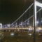 Erzsébet-híd este