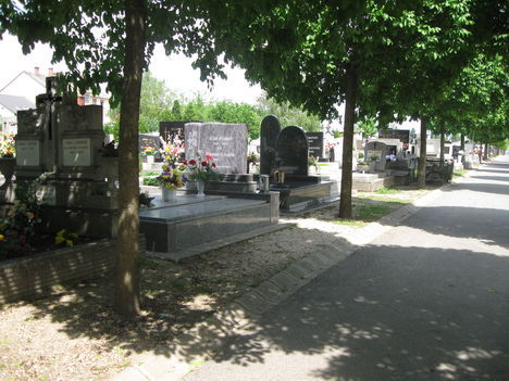 2010. május, temető