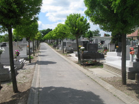 2010. május temető