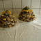 Sütemények vegyesen-Fanta szelet (sárga tetejü)