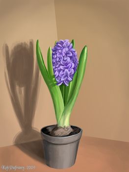 VIRAG Hyacinth_study_by_KekPafrany