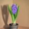 VIRAG Hyacinth_study_by_KekPafrany
