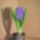 Virag_hyacinth_study_by_kekpafrany_794017_78776_t