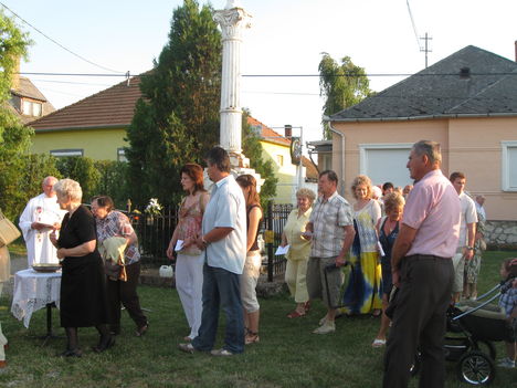 Sarlós Boldogaszzony 2010