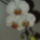 A_kis_megmentett-001_797686_95483_t