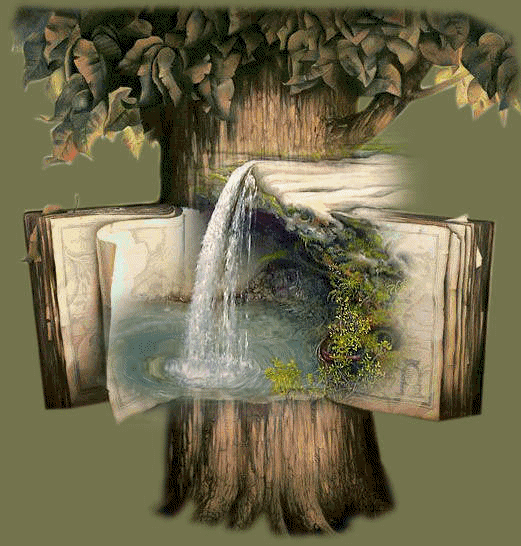fa és könyv