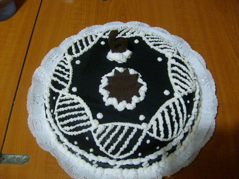 Csoki torta(2010.07.08)