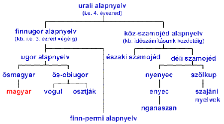 Finnugor nyelvcsaládok