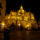 Segovia_catedral_798710_66215_t