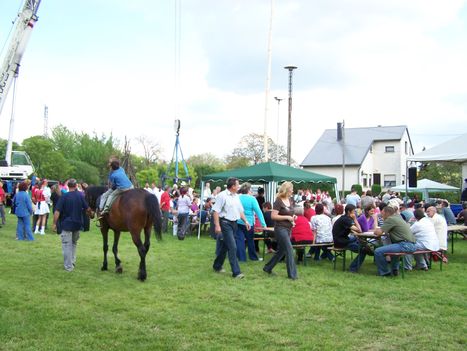 Pándzsa Majális 2010.