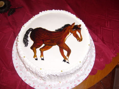 torta4 004