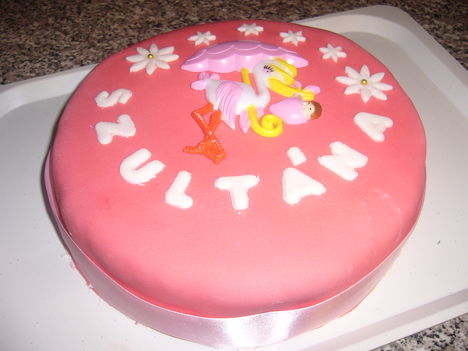 torta5 008