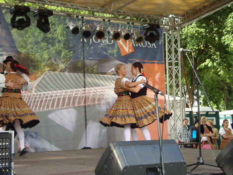 Belvárosi Fesztivál (2010.05.29.) - 16