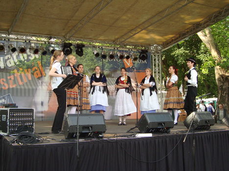 Belvárosi Fesztivál (2010.05.29.) - 20