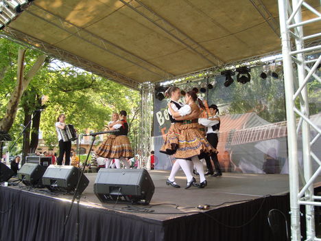 Belvárosi Fesztivál (2010.05.29.) - 26