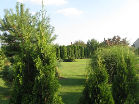 Szép kert 2010.