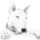 Bull_terrier_rajz_814053_85968_t