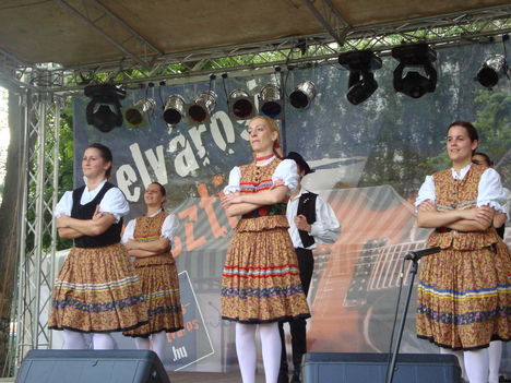 Belvárosi Fesztivál (2010.05.29.) - 110