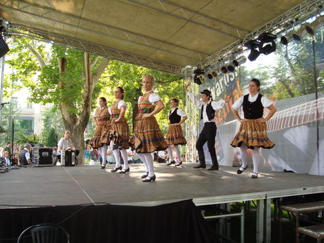 Belvárosi Fesztivál (2010.05.29.) - 45