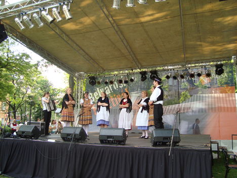 Belvárosi Fesztivál (2010.05.29.) - 49