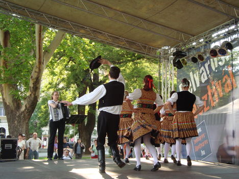 Belvárosi Fesztivál (2010.05.29.) - 75