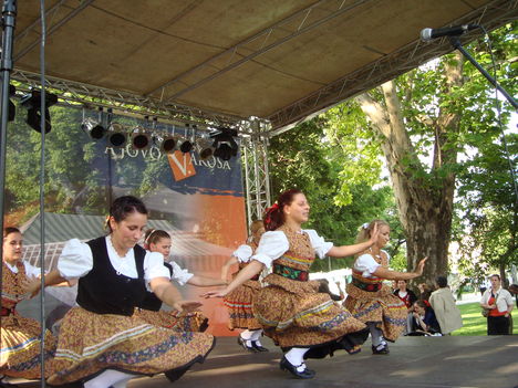 Belvárosi Fesztivál (2010.05.29.) - 94