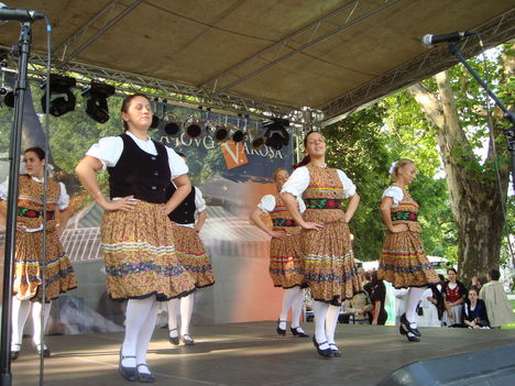 Belvárosi Fesztivál (2010.05.29.) - 95