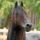 Friz1k_816795_26536_t