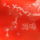 Dscf6273x_818108_17191_t