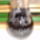 Hpim2447_818095_97750_t