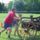 Polgaror_nap_lazi_16_818945_10021_t