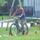 Polgaror_nap_lazi_5_818934_37982_t