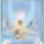 Qvd85pinn77_818136_40516_t