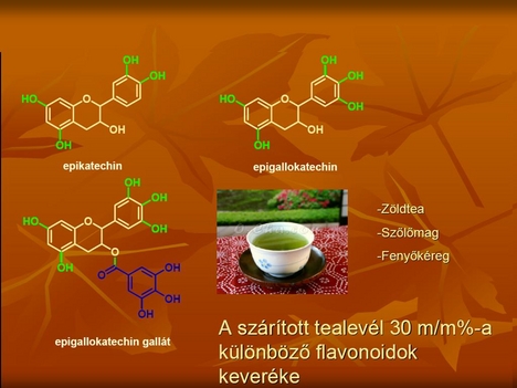 flavonoidok3