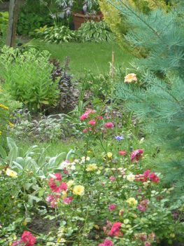 20100717 144