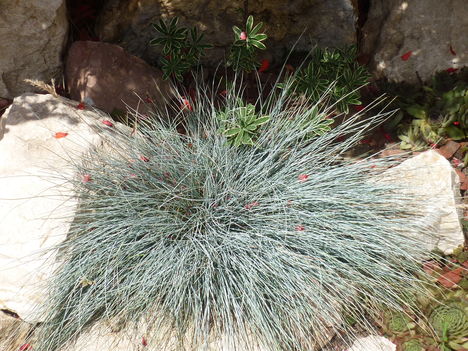 20100717 213