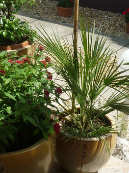 20100717 254