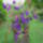 2010_julius_21_070_822803_68213_t