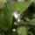 Cim9959_824491_40730_t