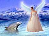 angyal és delfin