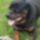 Dariusz_020_828054_74215_t