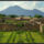 Pompeii2_828349_30728_t