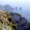 Capri 3