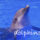 Gc_dolphins_802286_53403_t