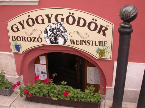 gyogygodor_borozo_a_fo_teren_551847_15871_n