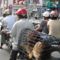 Vietnam:  állat szállítás