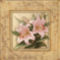 10935~Pretty-in-Pink-Lilies-Posters