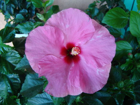 2010aug8 005