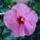 2010aug8_005_833316_90174_t
