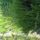 Kep_301_833193_54092_t